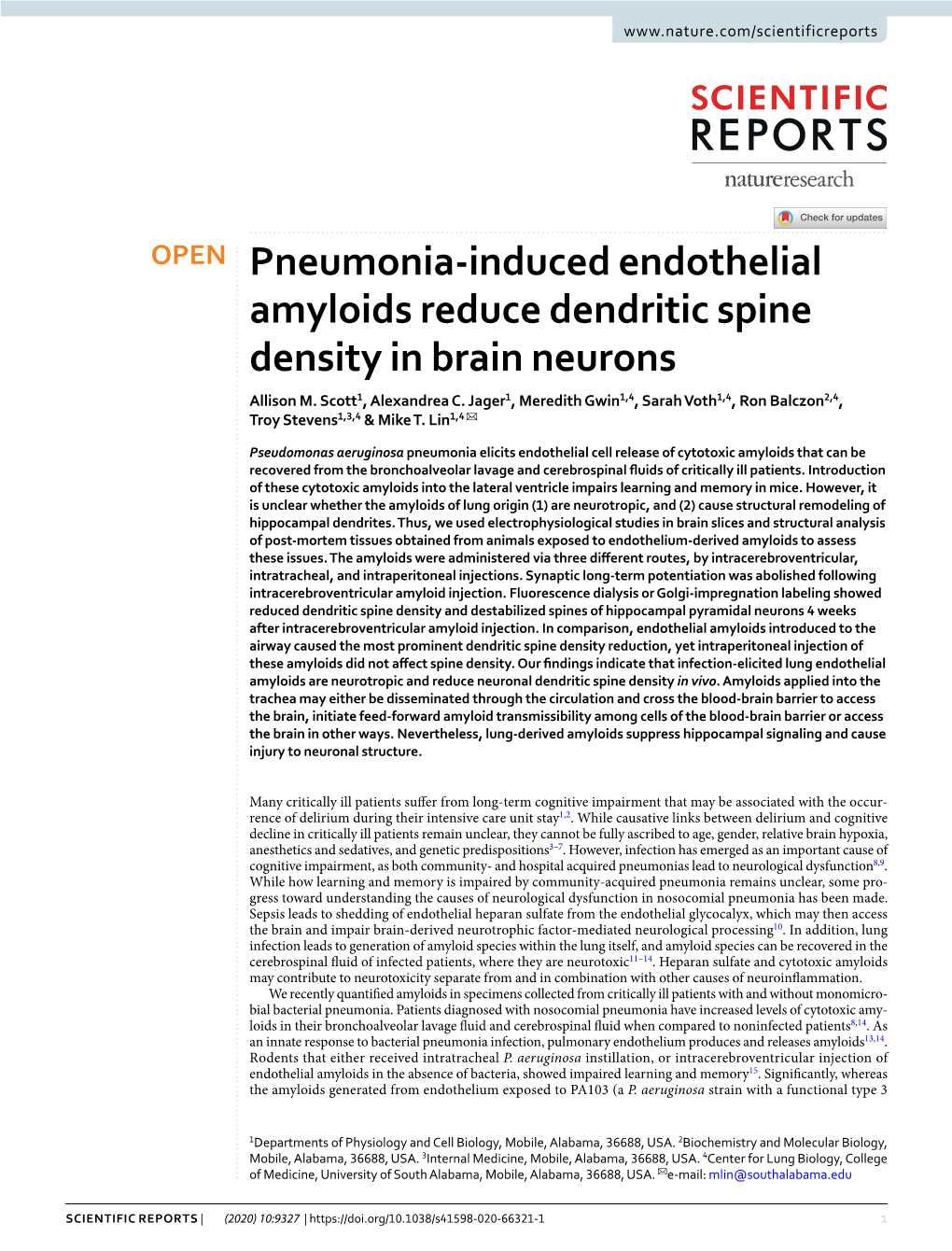 Pneumonia-Induced Endothelial Amyloids Reduce Dendritic Spine Density in Brain Neurons Allison M