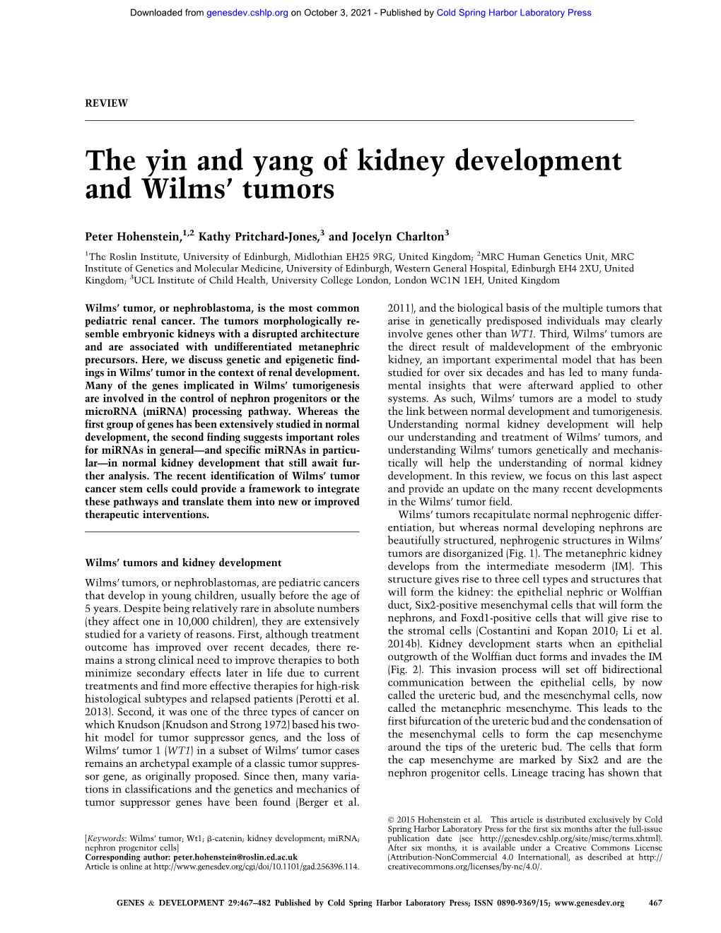 The Yin and Yang of Kidney Development and Wilms' Tumors