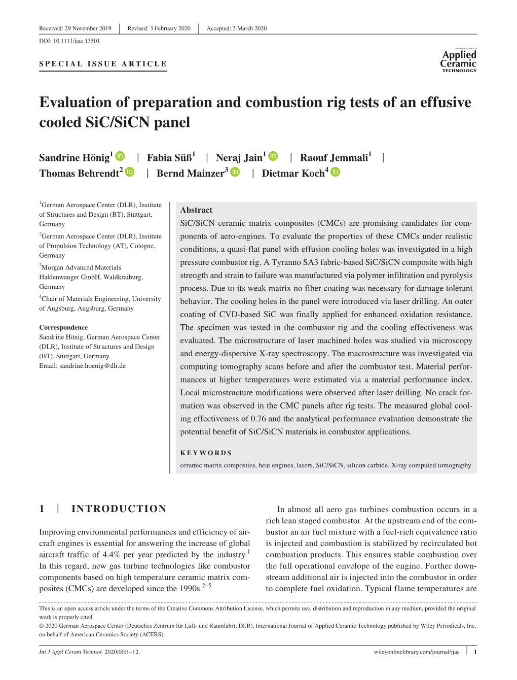 Evaluation of Preparation and Combustion Rig Tests of an Effusive Cooled Sic/Sicn Panel