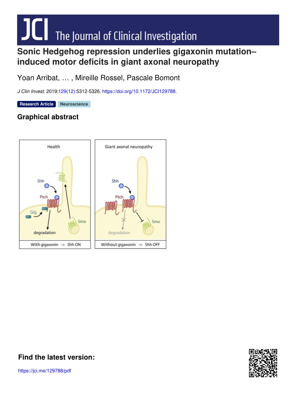 Sonic Hedgehog Repression Underlies Gigaxonin Mutation– Induced Motor Deficits in Giant Axonal Neuropathy