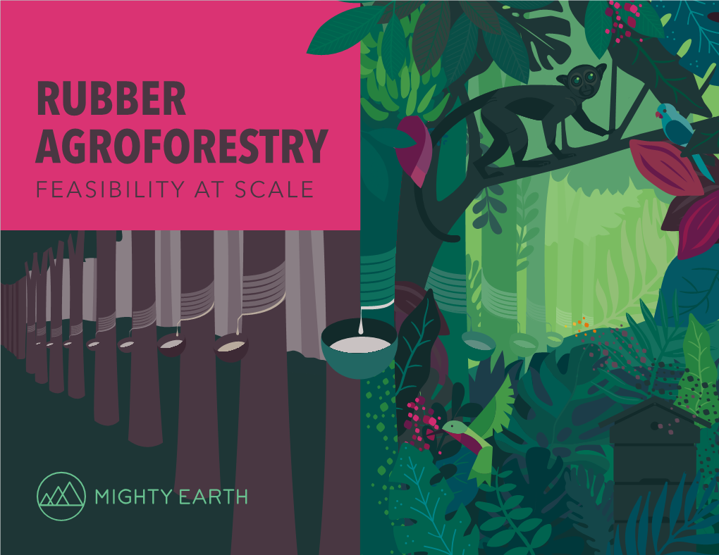 RUBBER AGROFORESTRY FEASIBILITY at SCALE RUBBER AGROFORESTRY Executive Summary
