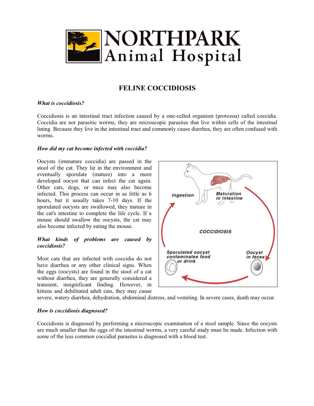 Feline Coccidiosis