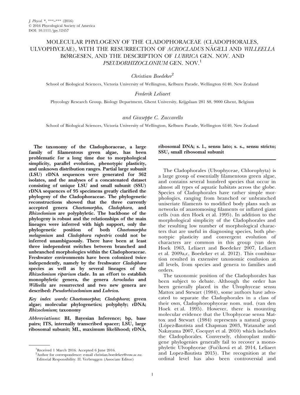 Molecular Phylogeny of the Cladophoraceae (Cladophorales