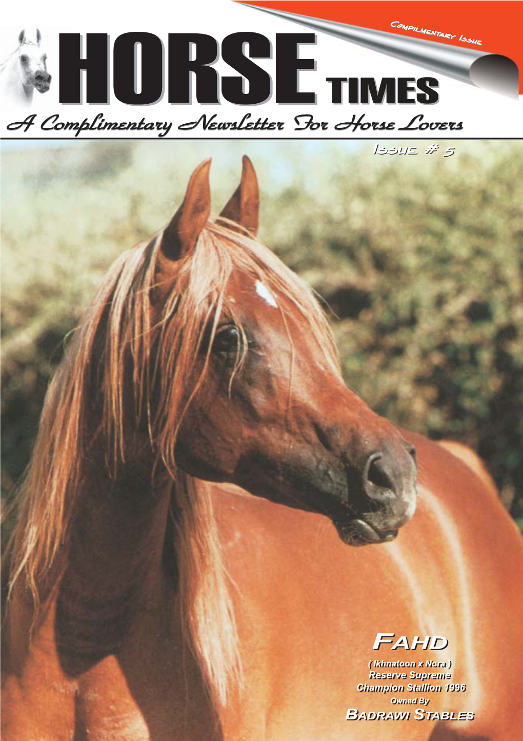 The Egyptian Arabian Horse Breeders Association (EAHBA) Was Founded by a Group of Zealous Breeders in 1986
