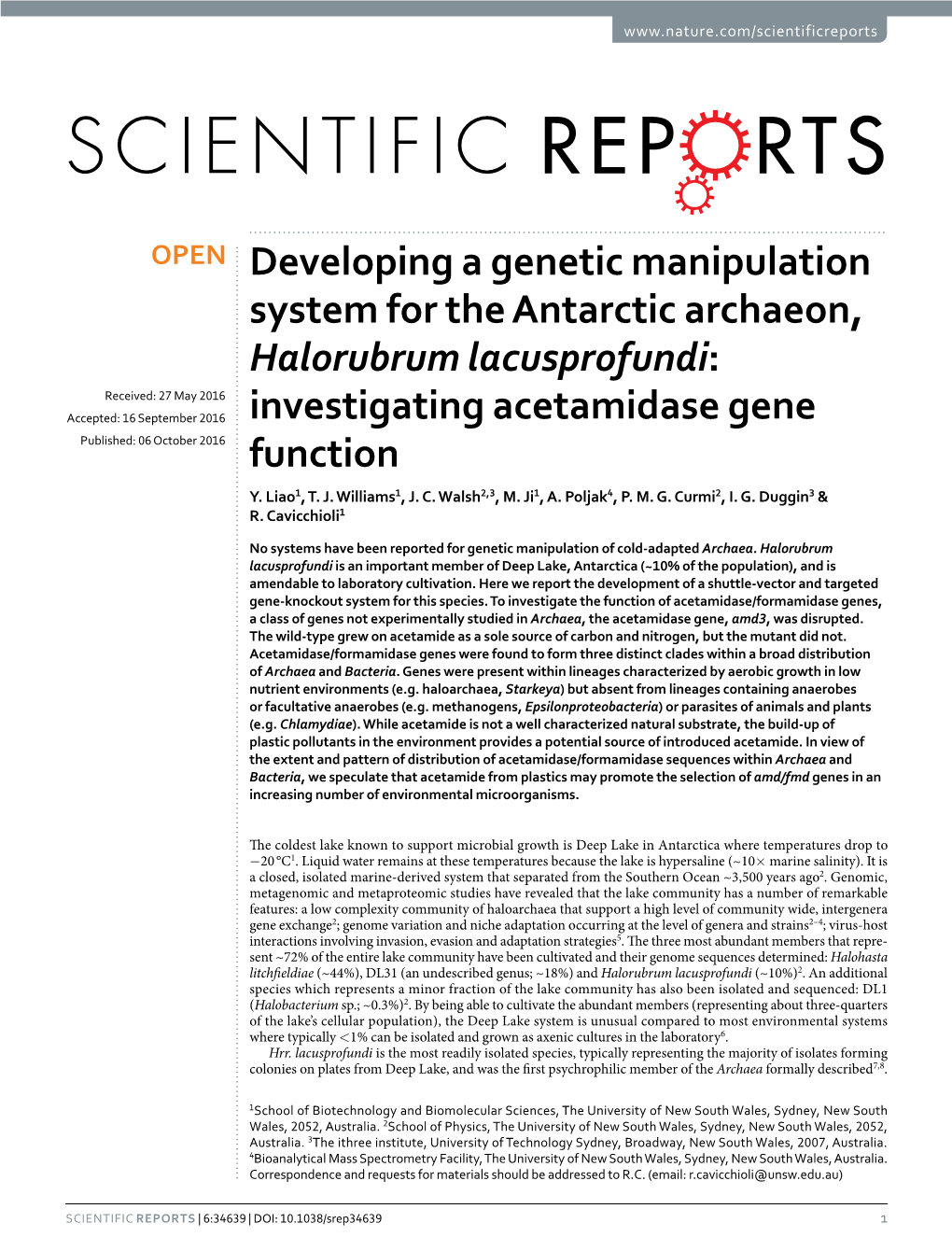 Investigating Acetamidase Gene Function