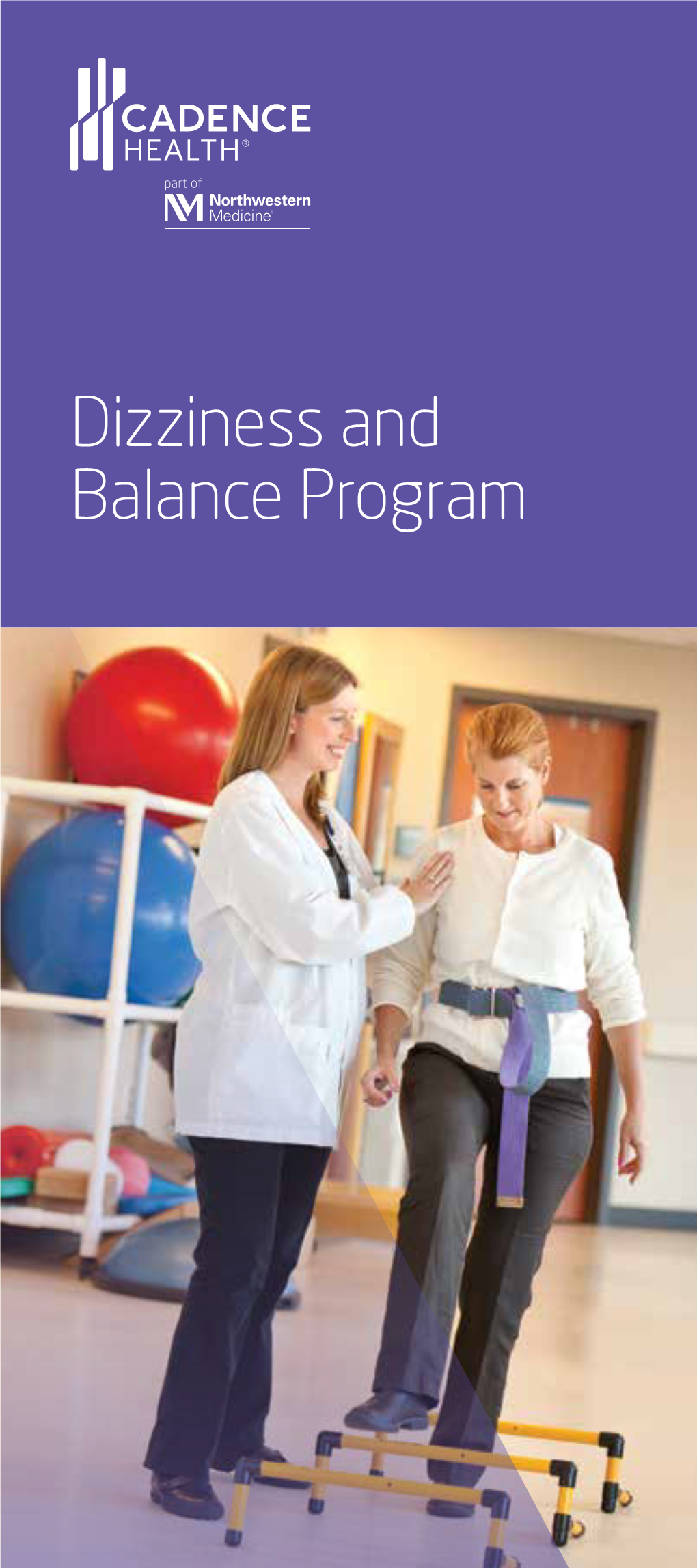 Dizziness and Balance Program