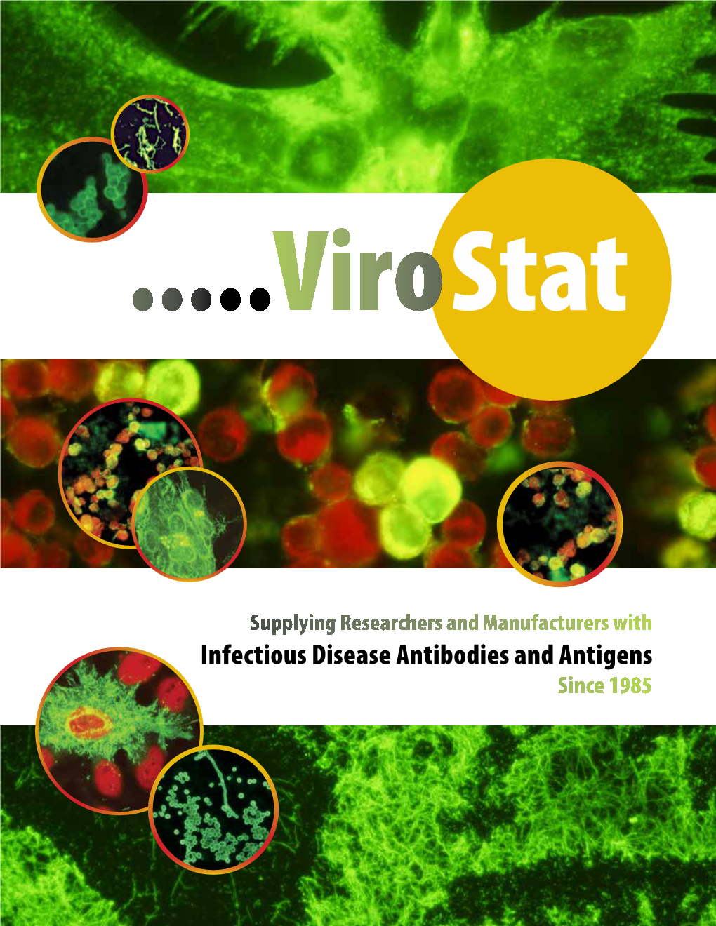 Infectious Disease Antibodies and Antigens Since 1985 Supplying Researchers and Manufacturers with Infectious Disease Antibodies and Antigens Since 1985