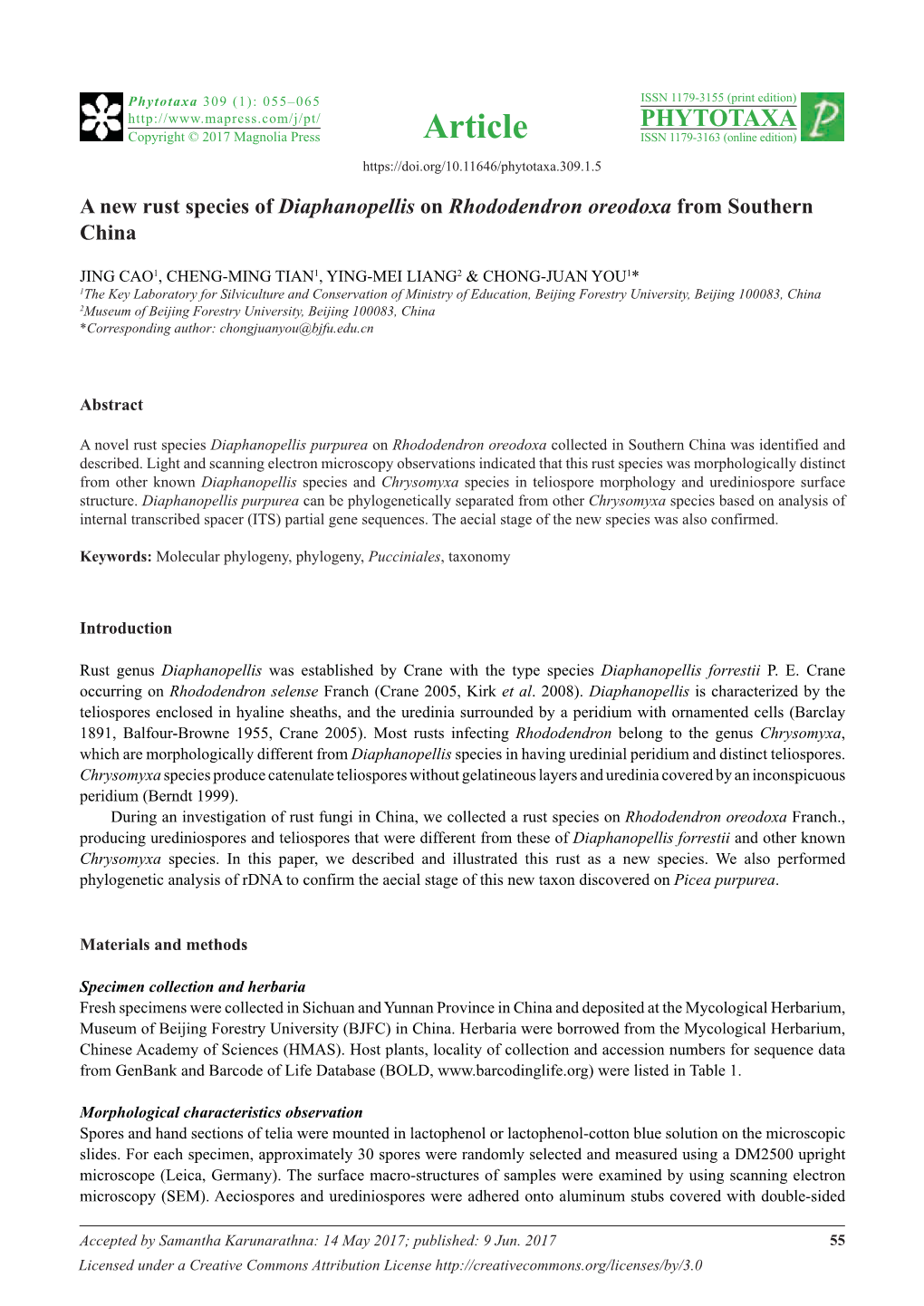 A New Rust Species of Diaphanopellis on Rhododendron Oreodoxa from Southern China