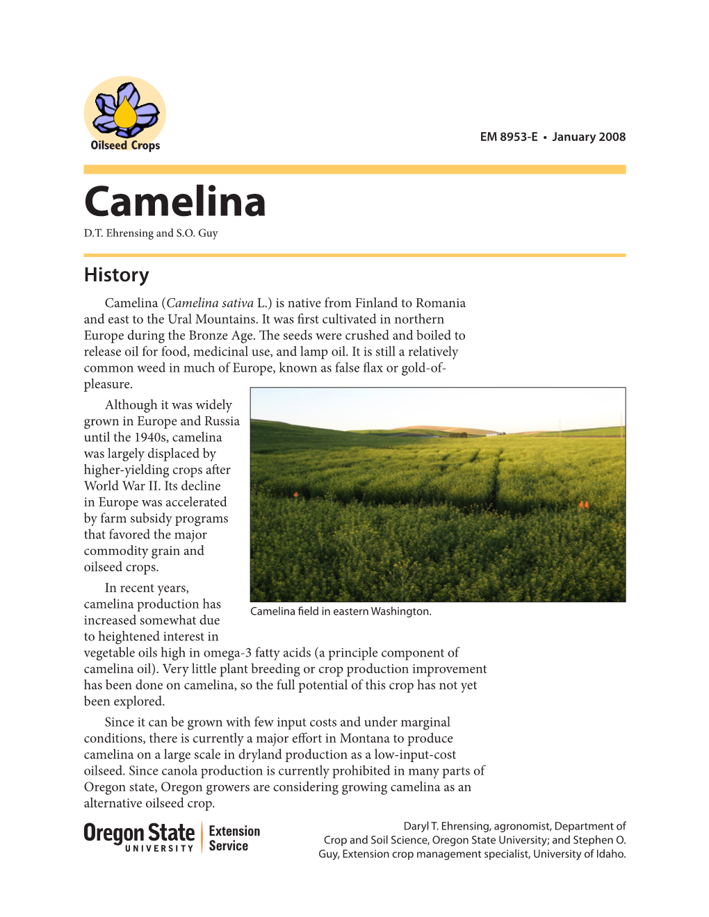 Camelina D.T