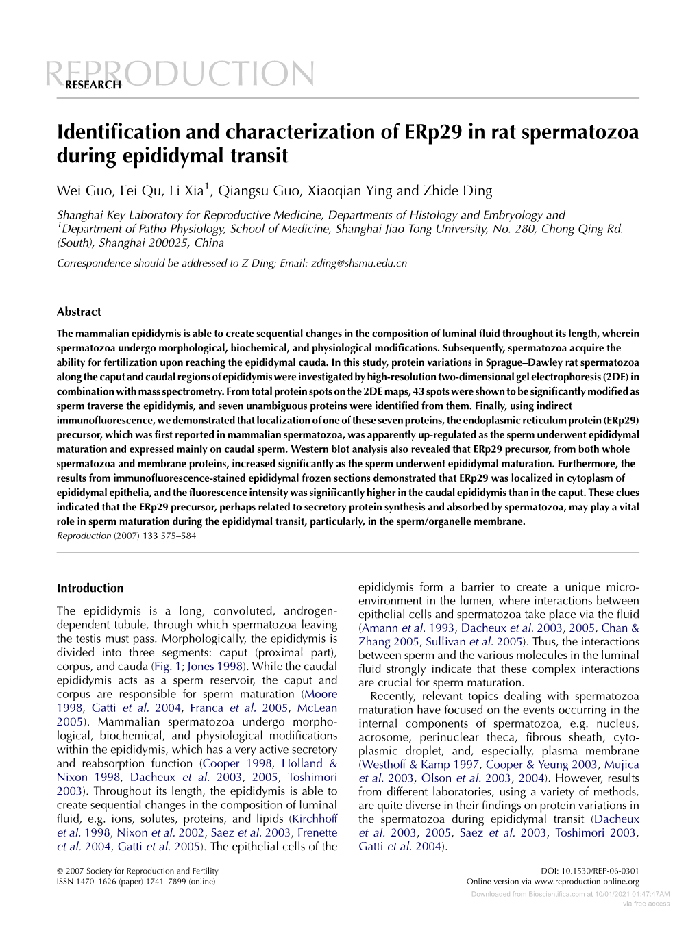 Identification and Characterization of Erp29 in Rat Spermatozoa During