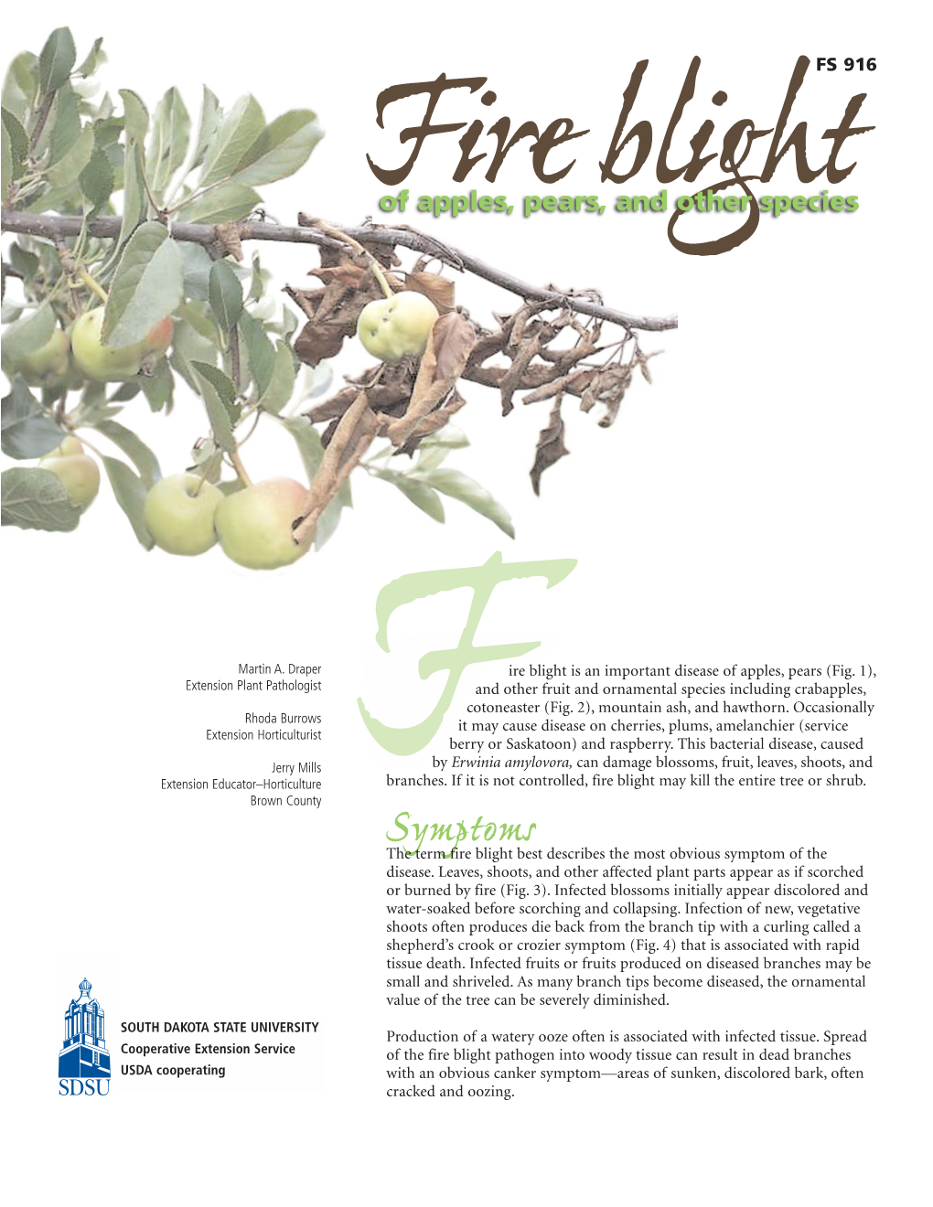 Fire Blight May Kill the Entire Tree Or Shrub