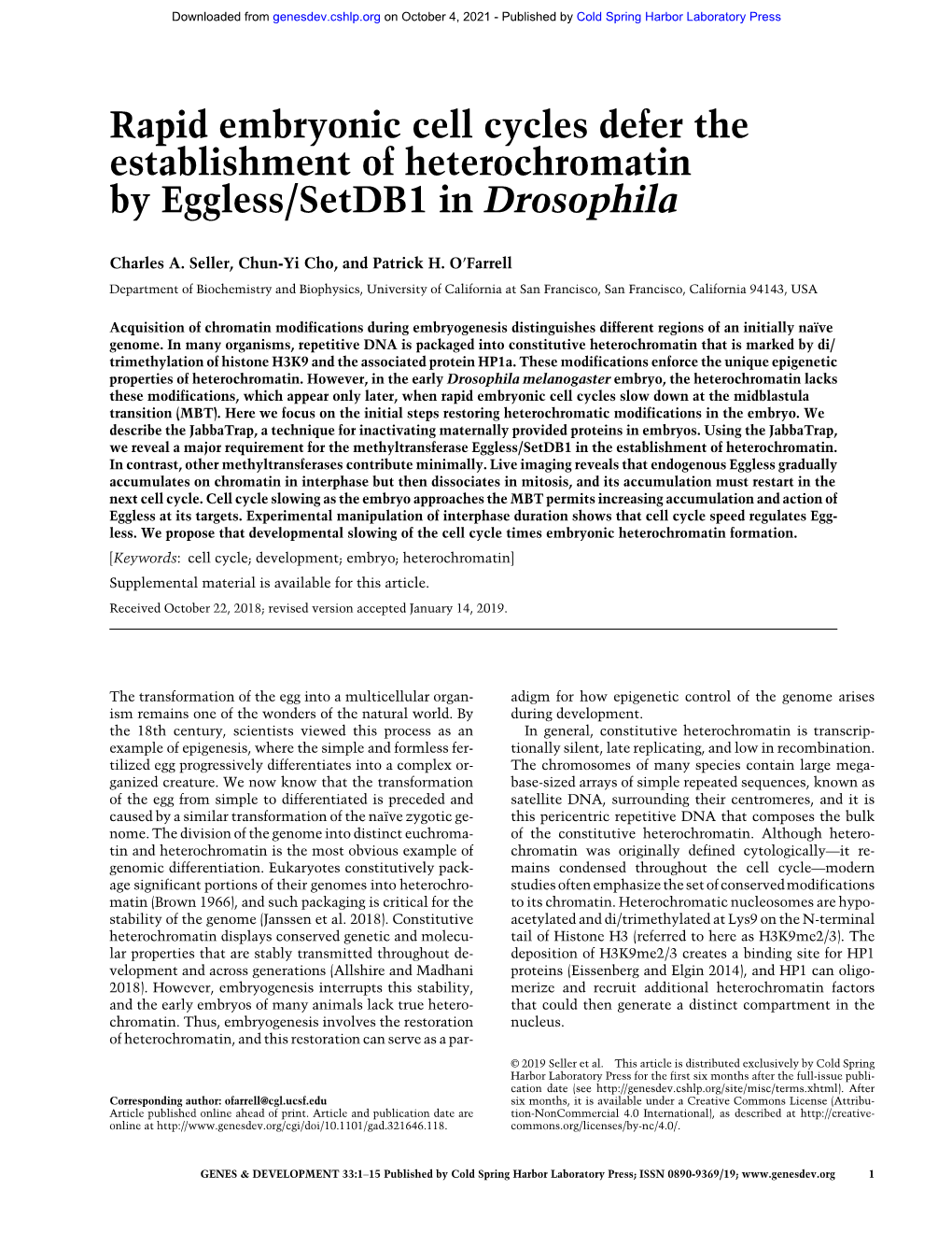 Rapid Embryonic Cell Cycles Defer the Establishment of Heterochromatin by Eggless/Setdb1 in Drosophila