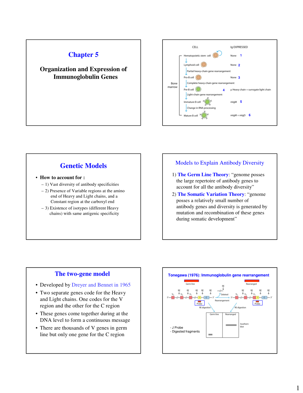 Chapter 5 Genetic Models