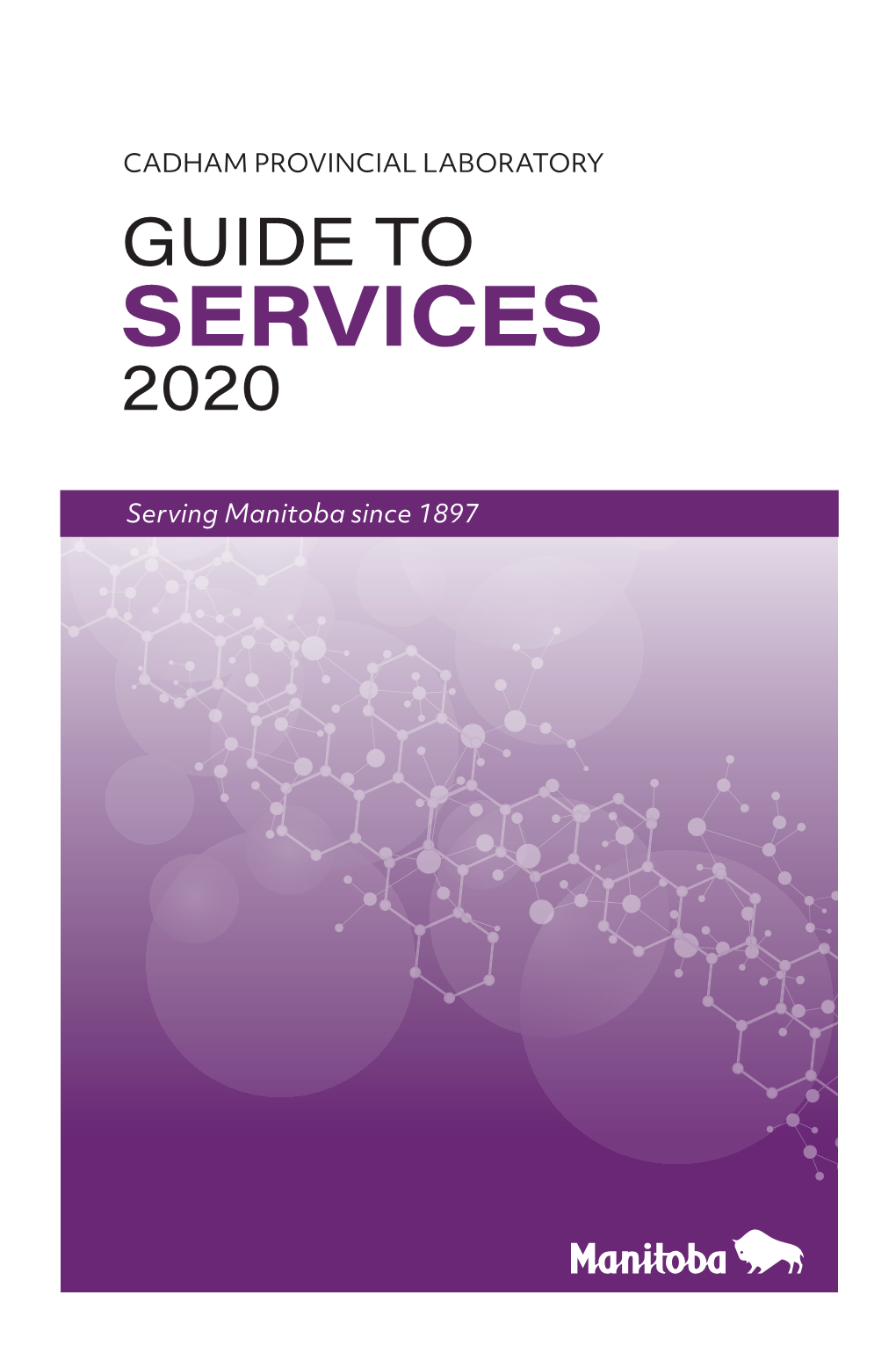 Guide to Services 2020