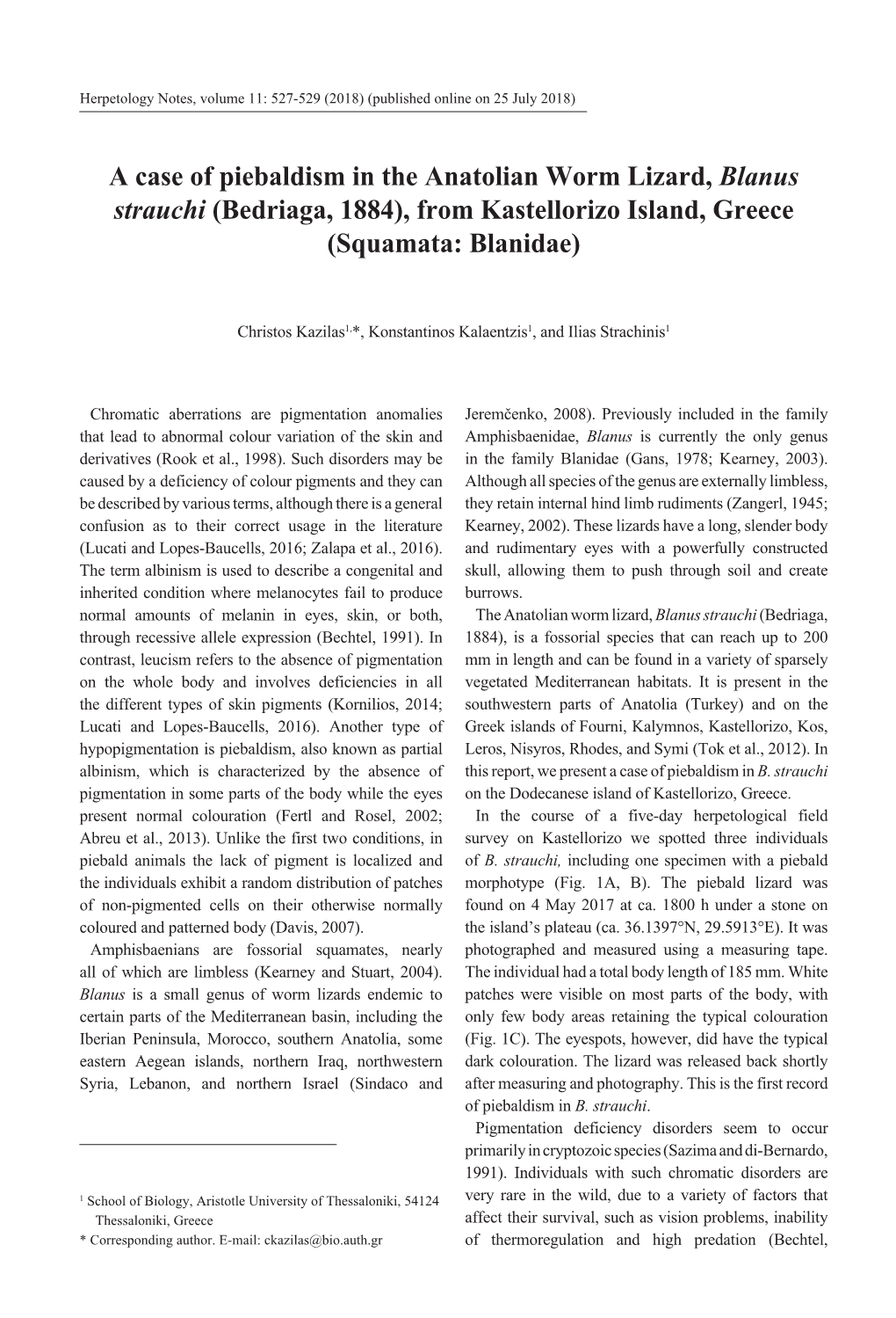 A Case of Piebaldism in the Anatolian Worm Lizard, Blanus Strauchi (Bedriaga, 1884), from Kastellorizo Island, Greece (Squamata: Blanidae)