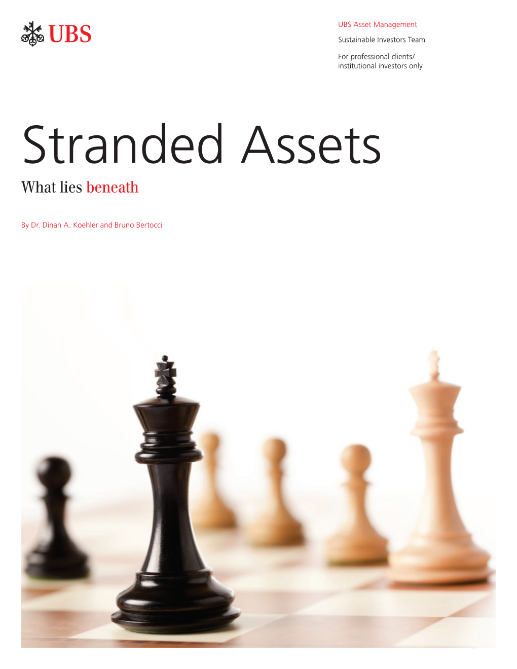 Stranded Assets What Lies Beneath