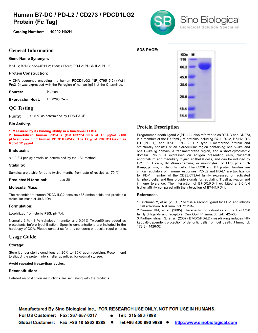 Human B7-DC / PD-L2 / CD273 / PDCD1LG2 Protein (Fc Tag)