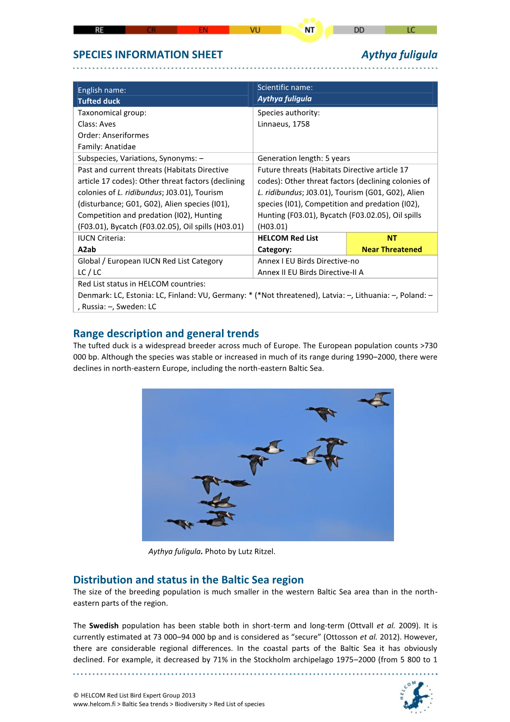 SPECIES INFORMATION SHEET Aythya Fuligula