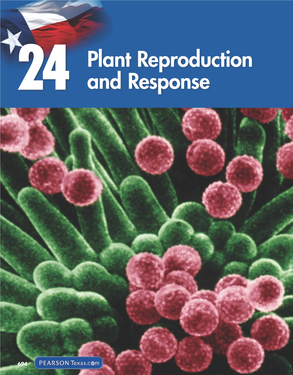 Chapter 24: Plant Reproduction and Response