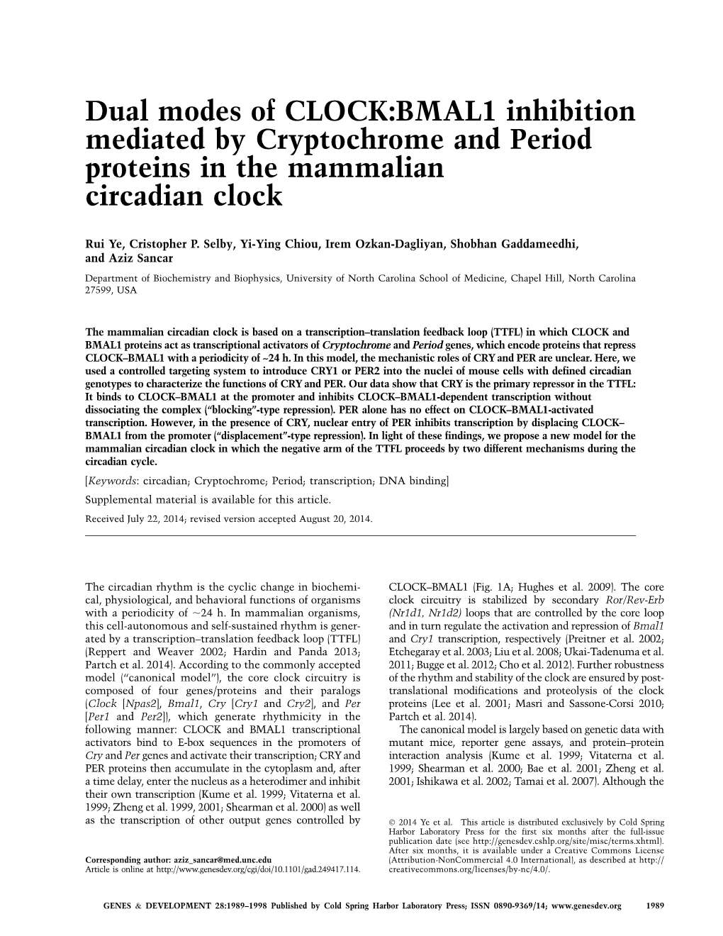 Dual Modes of CLOCK:BMAL1 Inhibition Mediated by Cryptochrome and Period Proteins in the Mammalian Circadian Clock