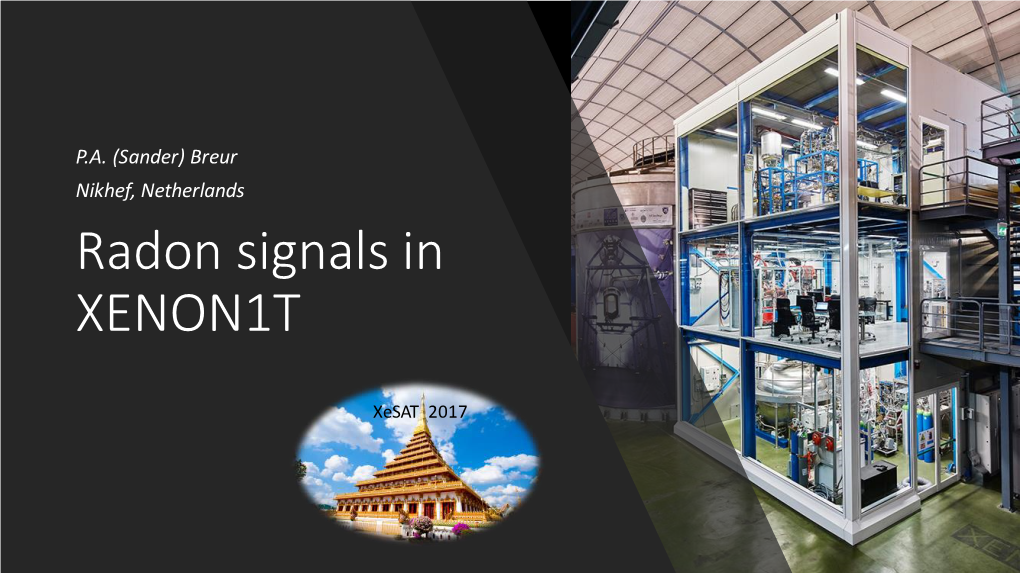 Radon Signals in XENON1T