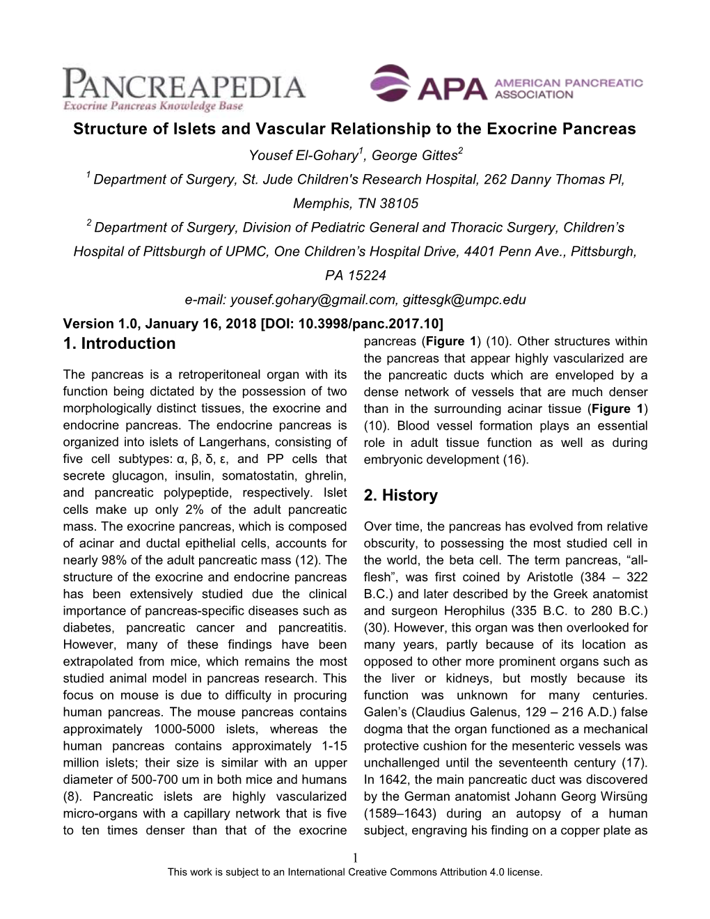 Structure of Islets and Vascular Relationship to the Exocrine Pancreas Yousef El-Gohary1, George Gittes2 1 Department of Surgery, St