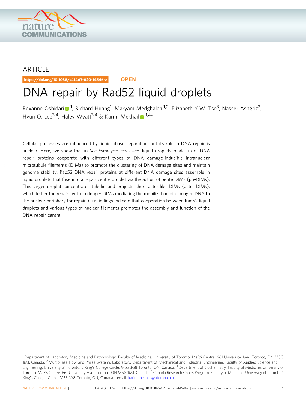 DNA Repair by Rad52 Liquid Droplets