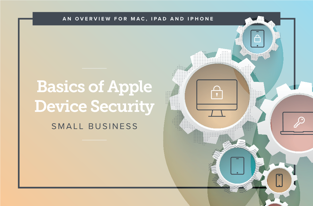 Basics of Apple Device Security