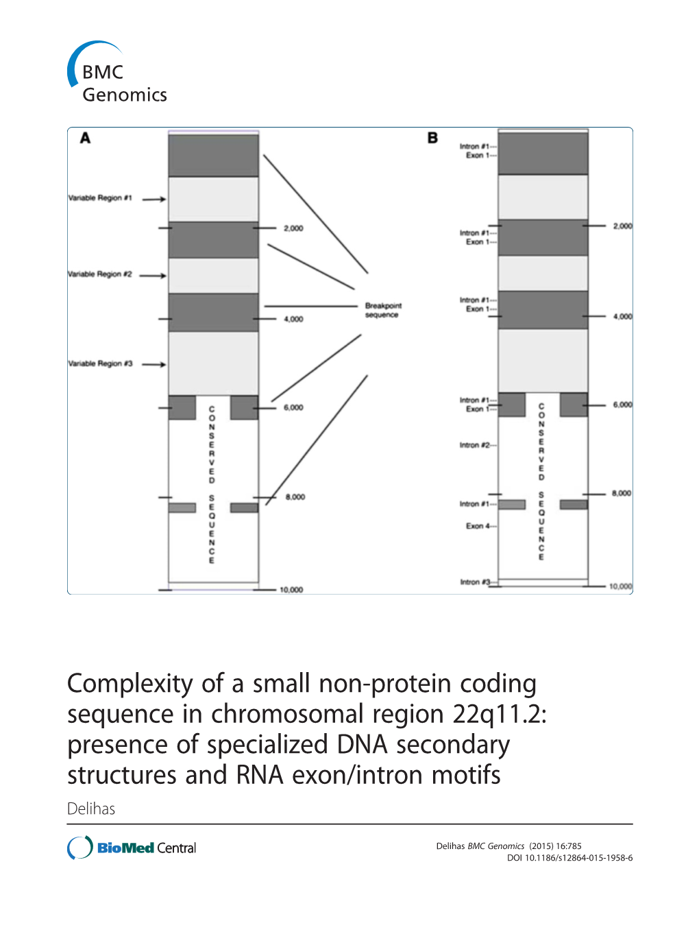 Complexity of a Small Non-Protein Coding Sequence in Chromosomal Region 22Q11.2: Presence of Specialized DNA Secondary Structures and RNA Exon/Intron Motifs Delihas