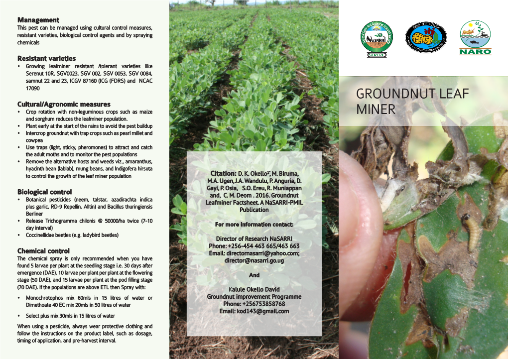 Groundnut Leaf Miner