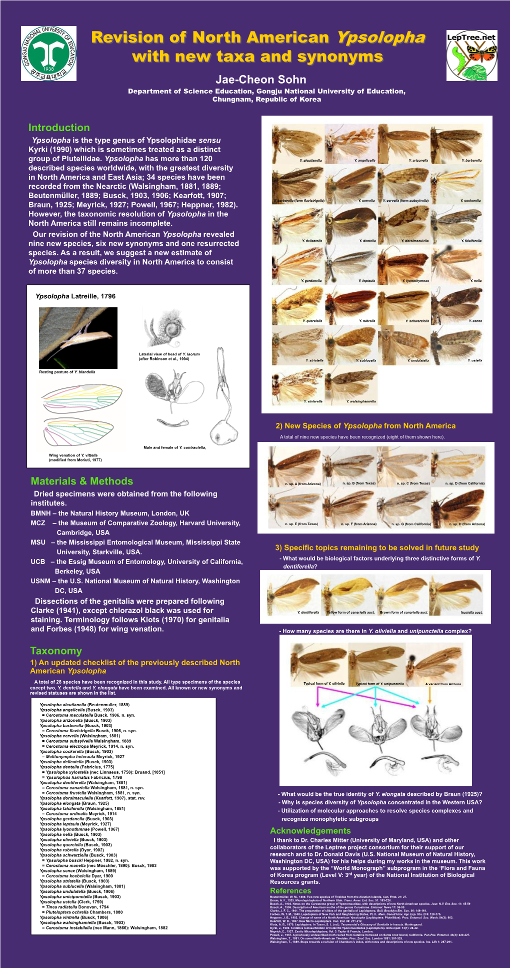 North American Ypsolopha (Ypsolophidae): Losing Some And