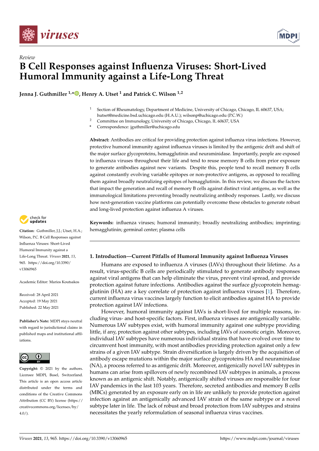 B Cell Responses Against Influenza Viruses