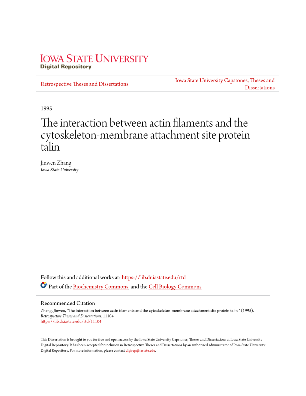 The Interaction Between Actin Filaments and the Cytoskeleton-Membrane Attachment Site Protein Talin Jinwen Zhang Iowa State University