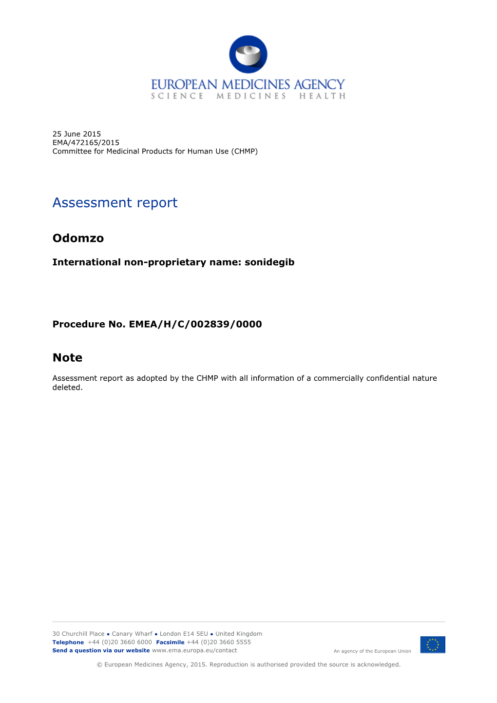 Assessment Report