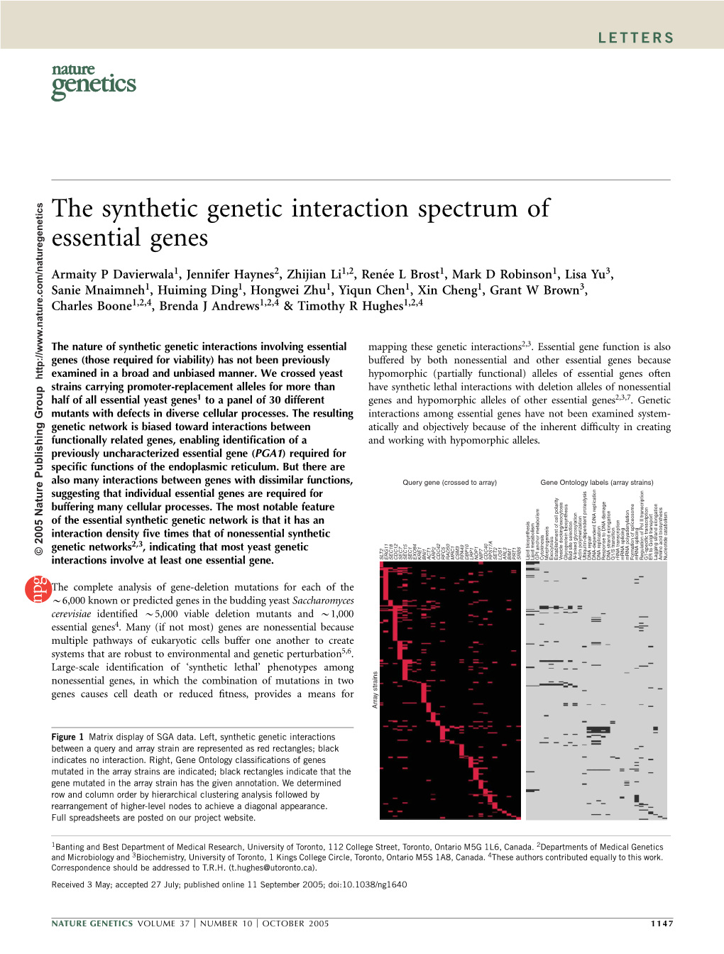 The Synthetic Genetic Interaction Spectrum of Essential Genes