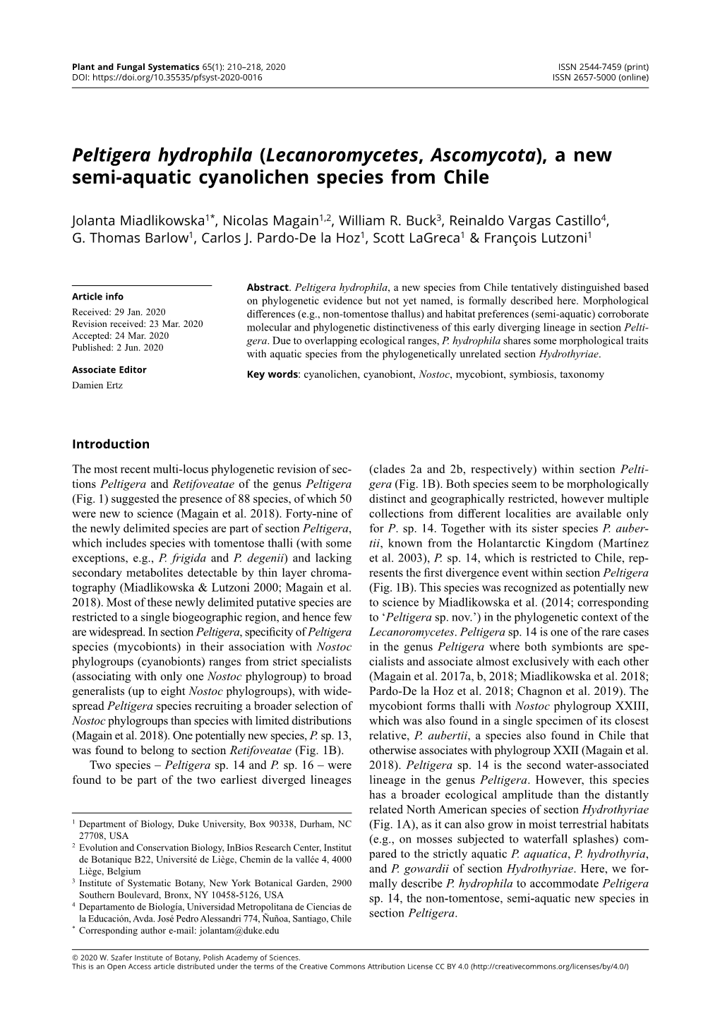 Peltigera Hydrophila (Lecanoromycetes, Ascomycota), a New Semi-Aquatic Cyanolichen Species from Chile