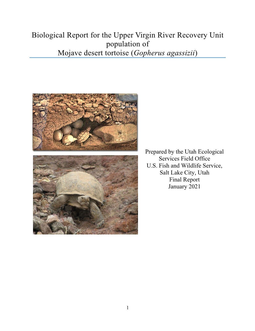 Biological Report for the Upper Virgin River Recovery Unit Population of Mojave Desert Tortoise (Gopherus Agassizii)