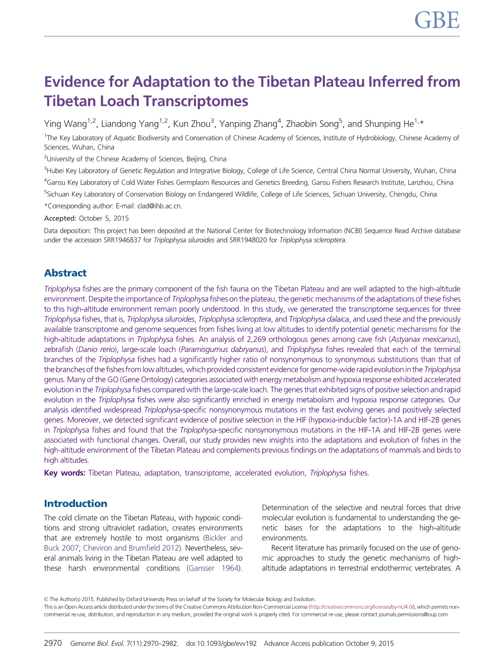 Evidence for Adaptation to the Tibetan Plateau Inferred from Tibetan Loach Transcriptomes