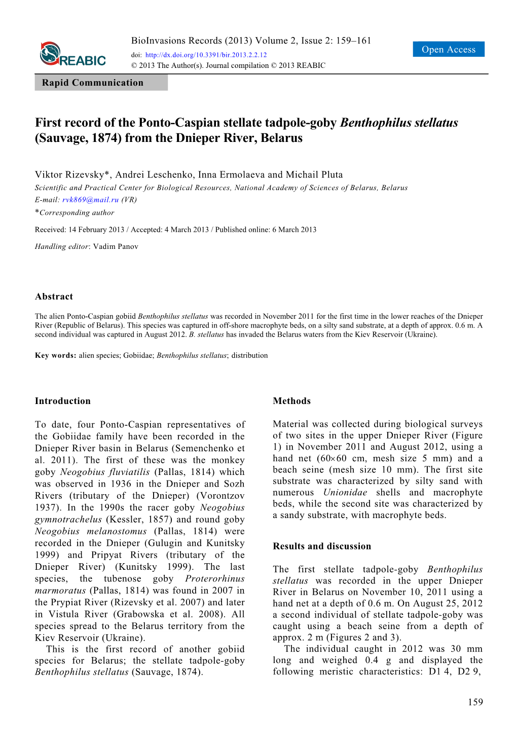 First Record of the Ponto-Caspian Stellate Tadpole-Goby Benthophilus Stellatus (Sauvage, 1874) from the Dnieper River, Belarus