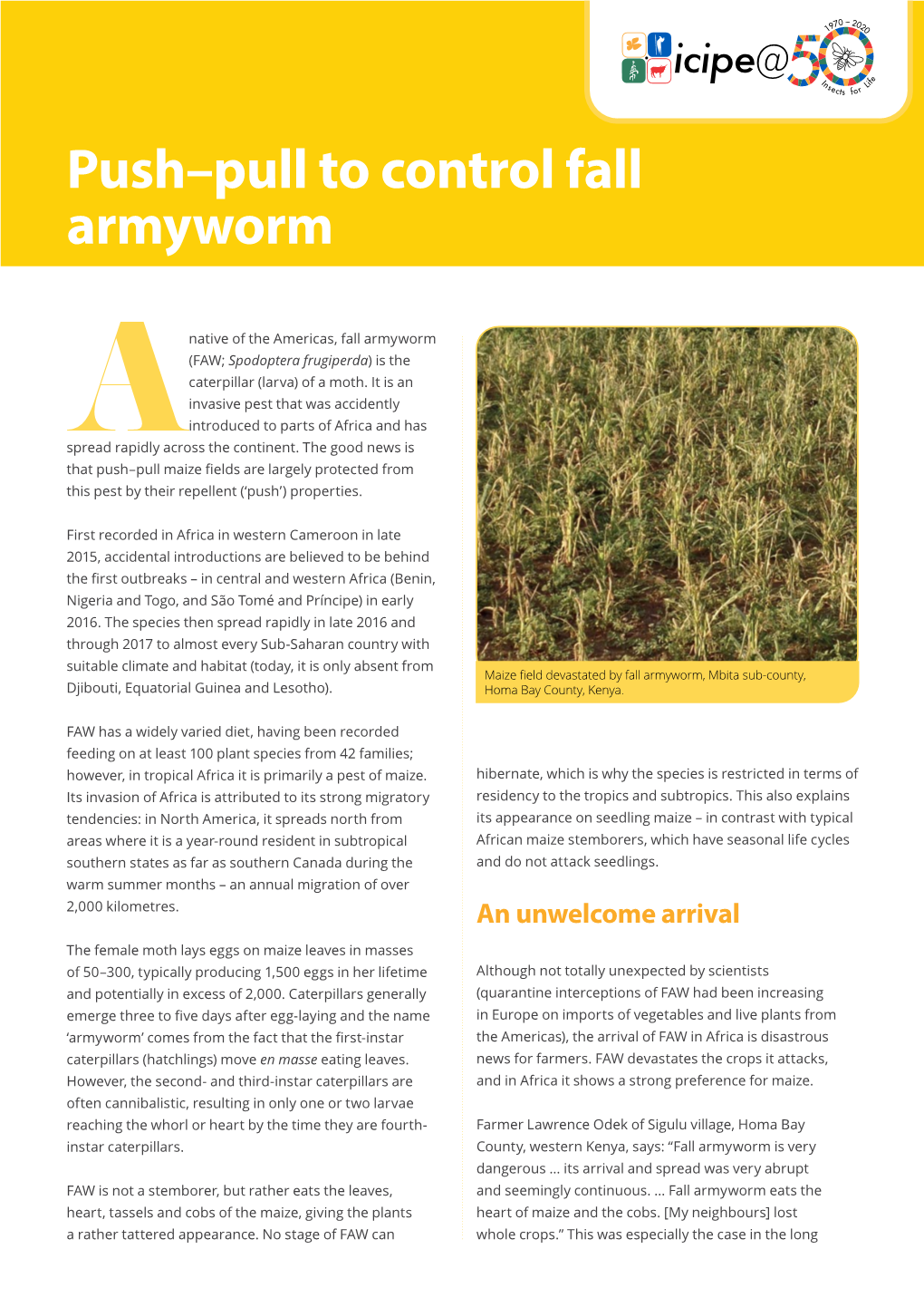 Push–Pull to Control Fall Armyworm