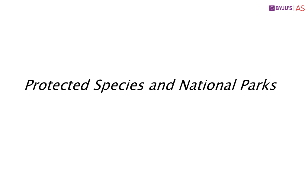 Protected Species and National Parks Operation Clean Art