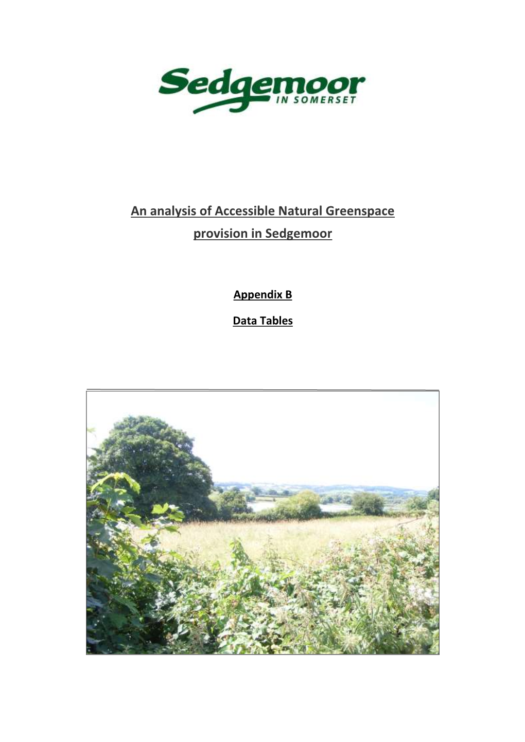 Accessible Natural Greenspace Assessment