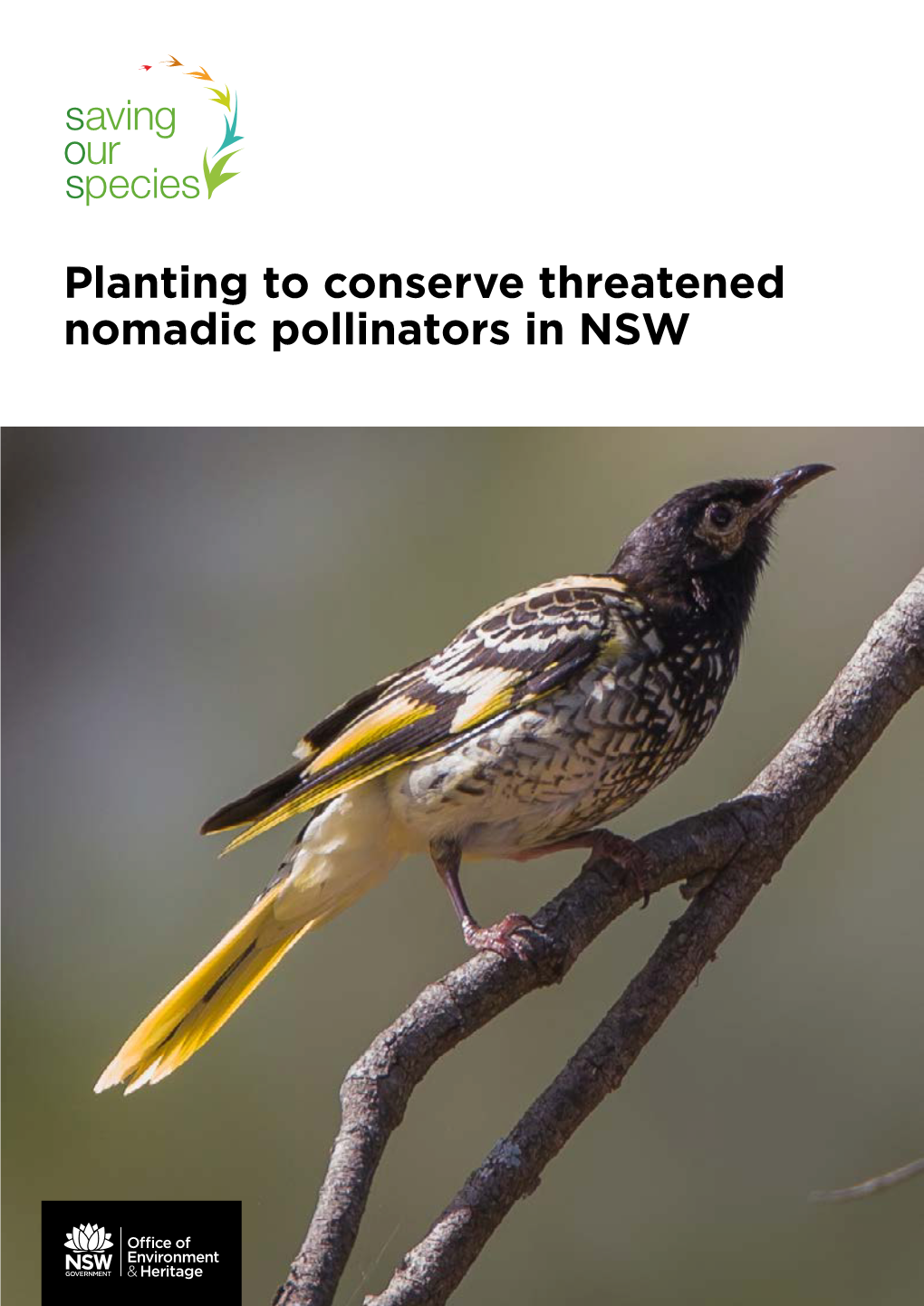 Planting to Conserve Threatened Nomadic Pollinators in Nswdownload