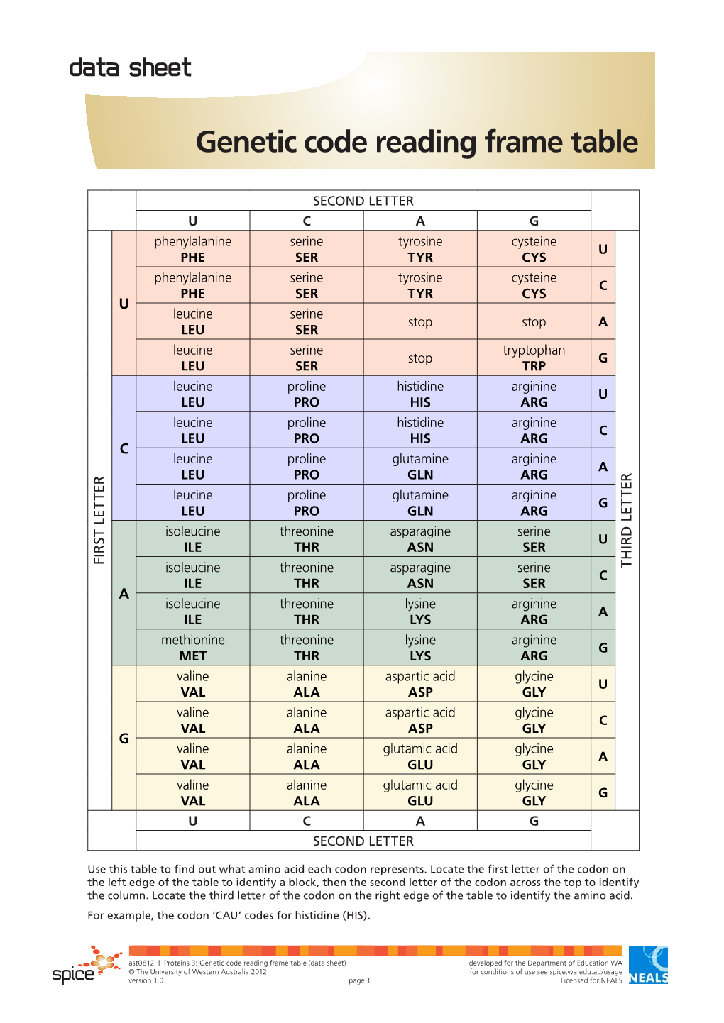 Genetic Code Reading Frame Table