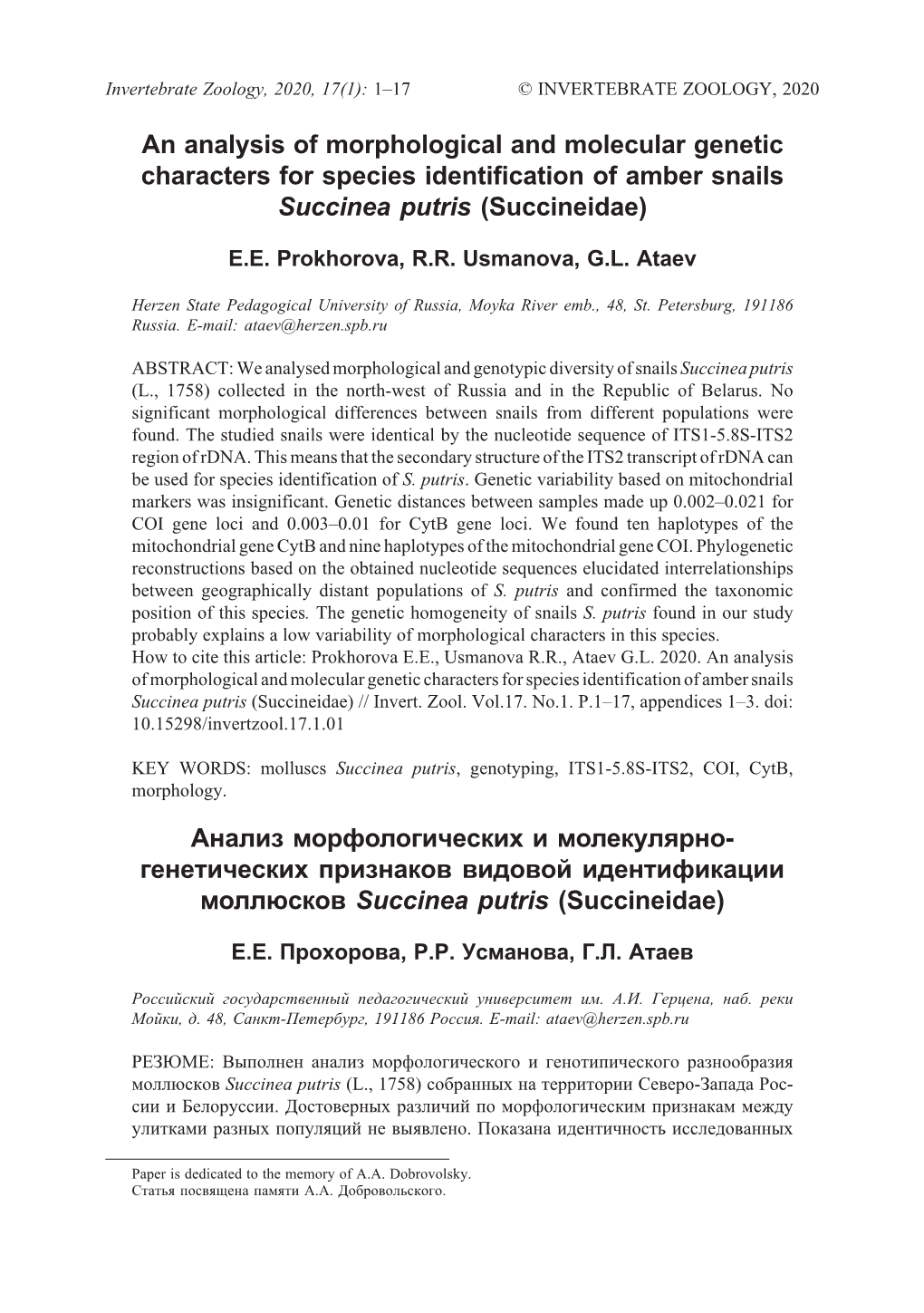 An Analysis of Morphological and Molecular Genetic Characters for Species Identification of Amber Snails Succinea Putris (Succineidae)