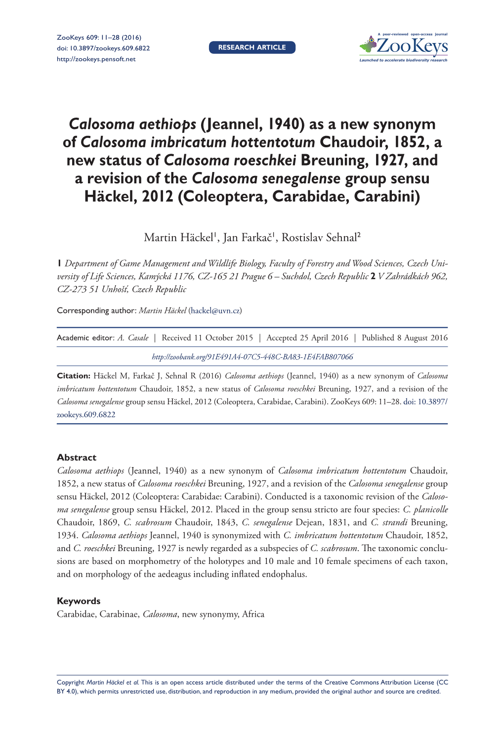 (Jeannel, 1940) As a New Synonym of Calosoma Imbricatum Hottentotum