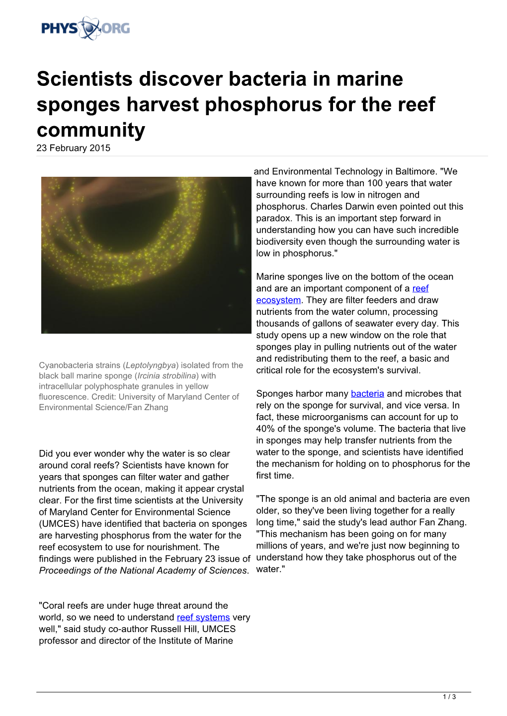 Scientists Discover Bacteria in Marine Sponges Harvest Phosphorus for the Reef Community 23 February 2015