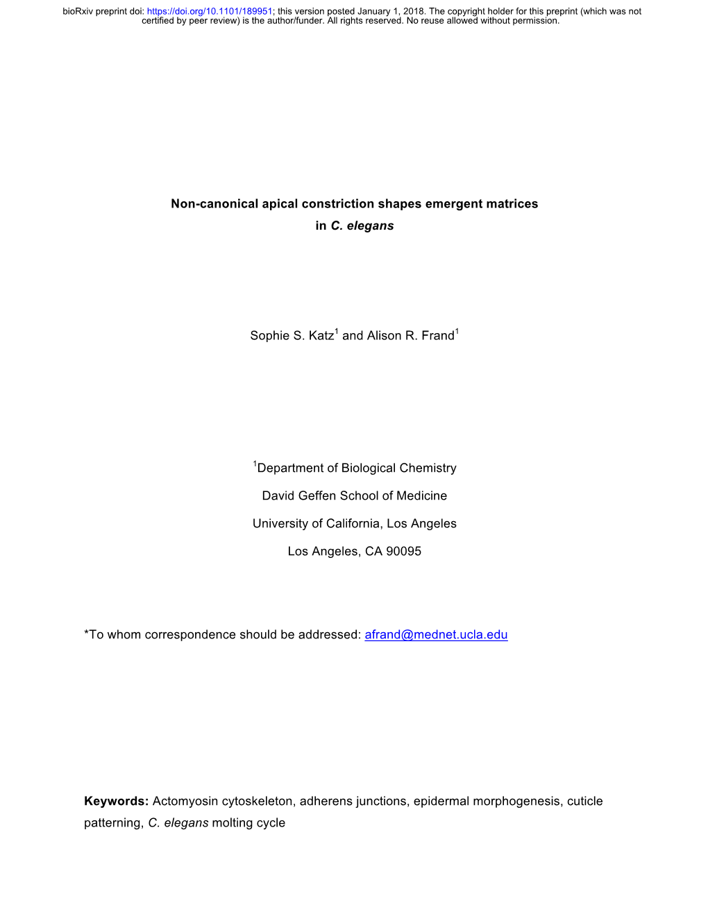 Non-Canonical Apical Constriction Shapes Emergent Matrices in C