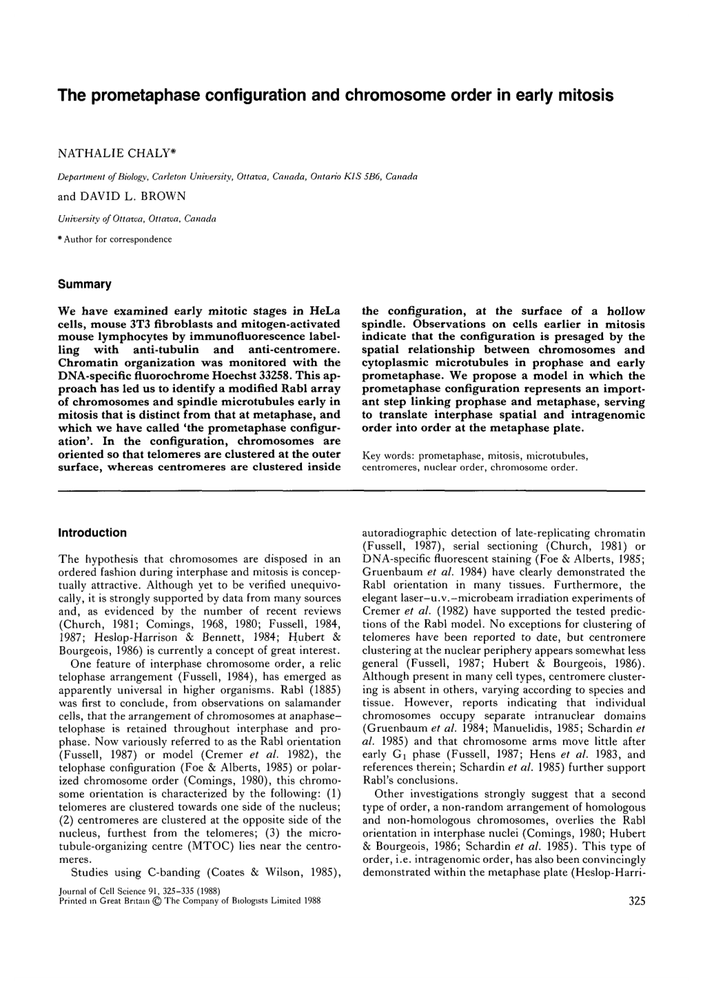 The Prometaphase Configuration and Chromosome Order in Early Mitosis