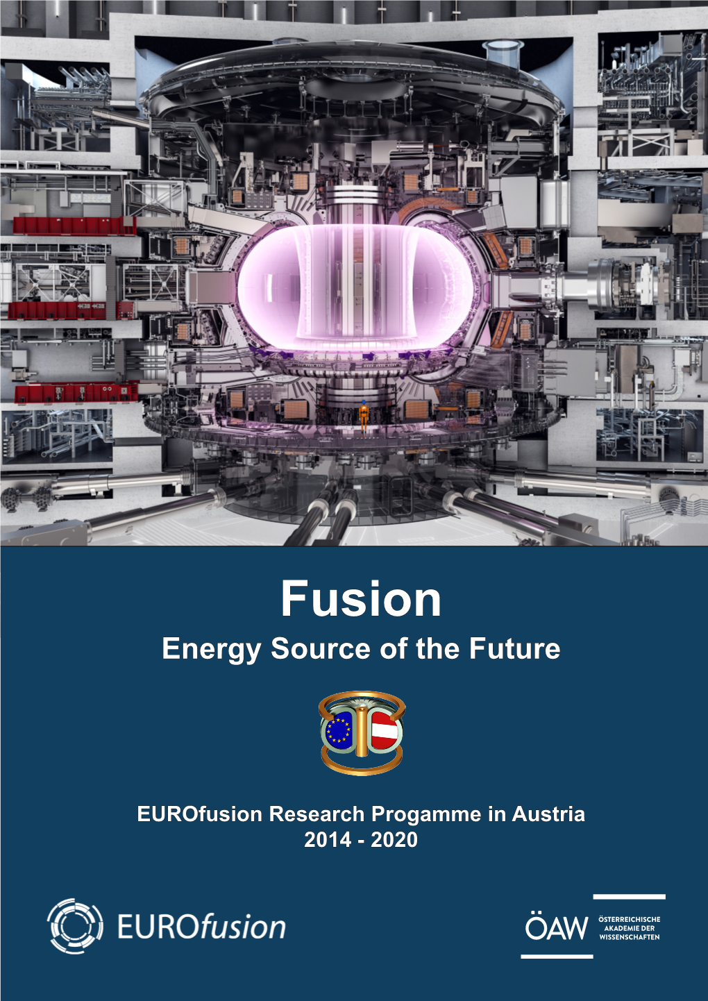 Fusion Energy Source of the Future